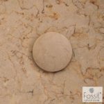 Τάπα Νιπτήρος FOSSIL BEIGE